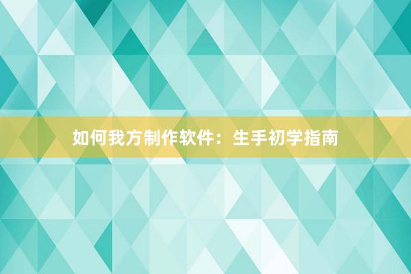 如何我方制作软件：生手初学指南